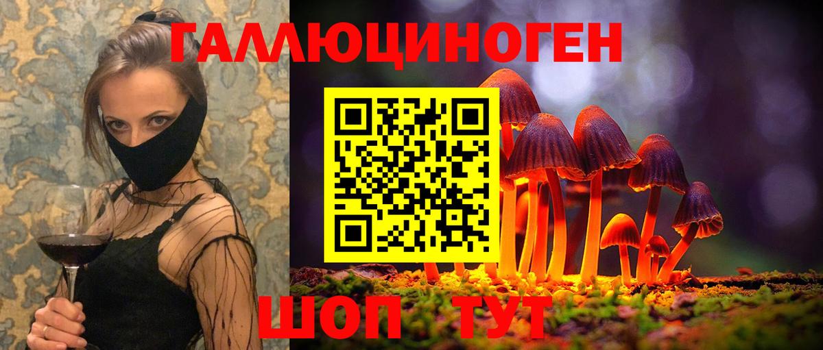 Галлюциногенные грибы GOLDEN TEACHER Славянск-на-Кубани