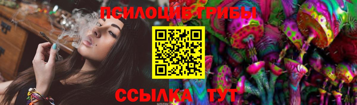 Славянск-на-Кубани  Галлюциногенные грибы GOLDEN TEACHER  Галлюциногенные грибы Psilocybe  Вход с VPN 