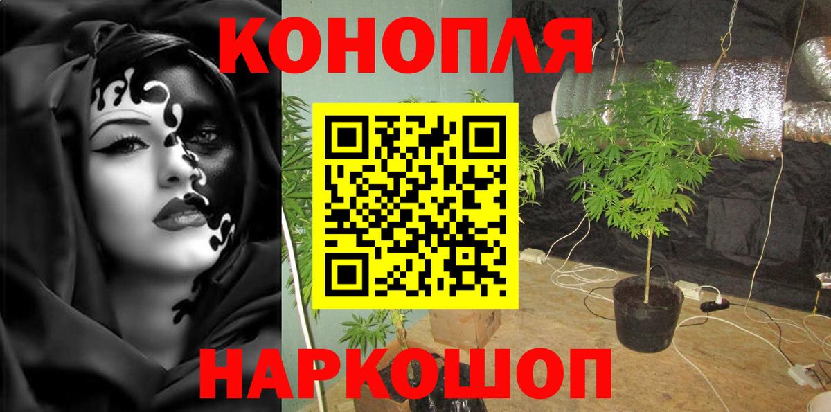 Конопля планчик Славянск-на-Кубани